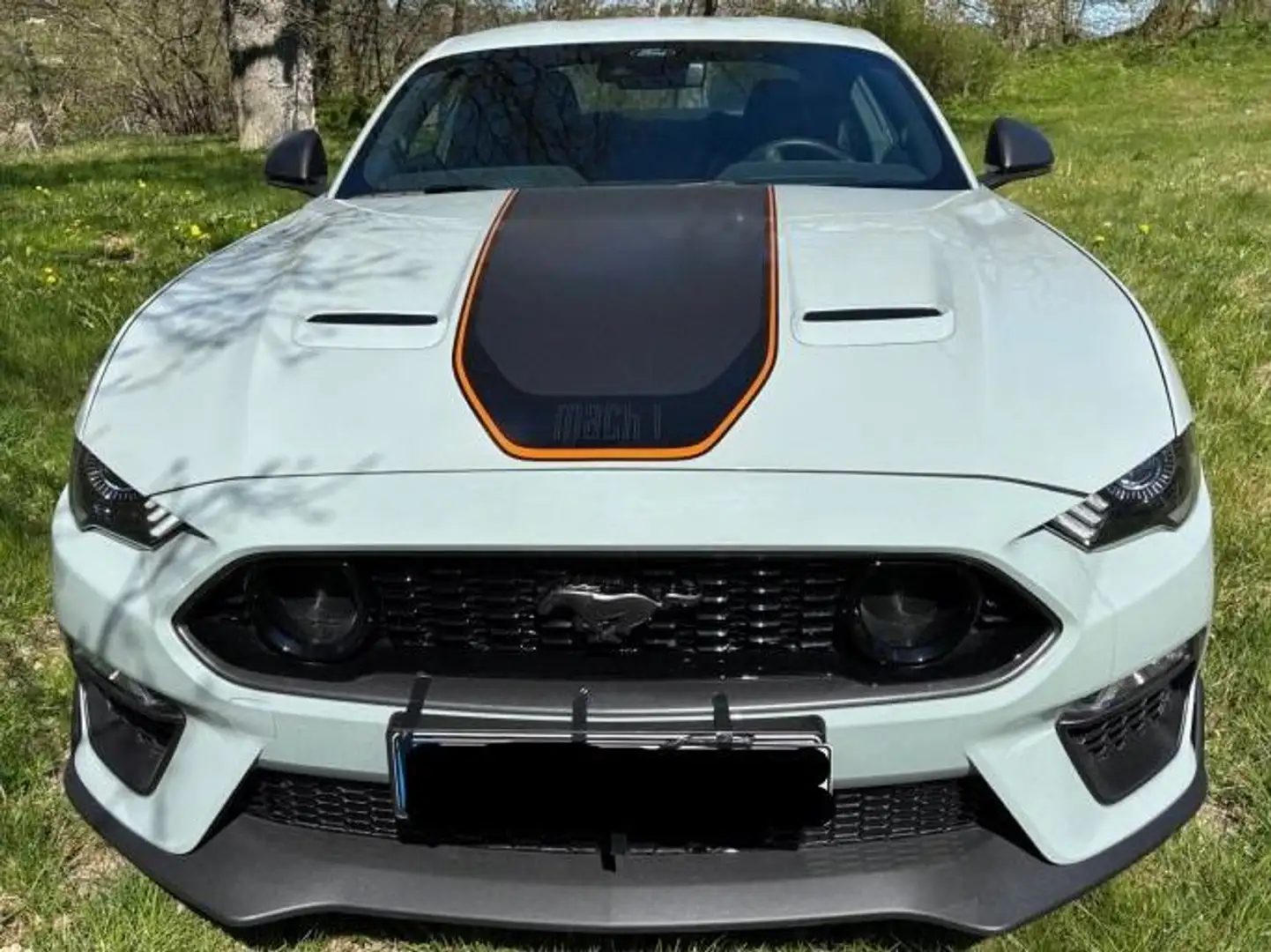 Ford Mustang Mustang Fastback 5.0 Ti-VCT V8 Aut. MACH1 Weiß - 1