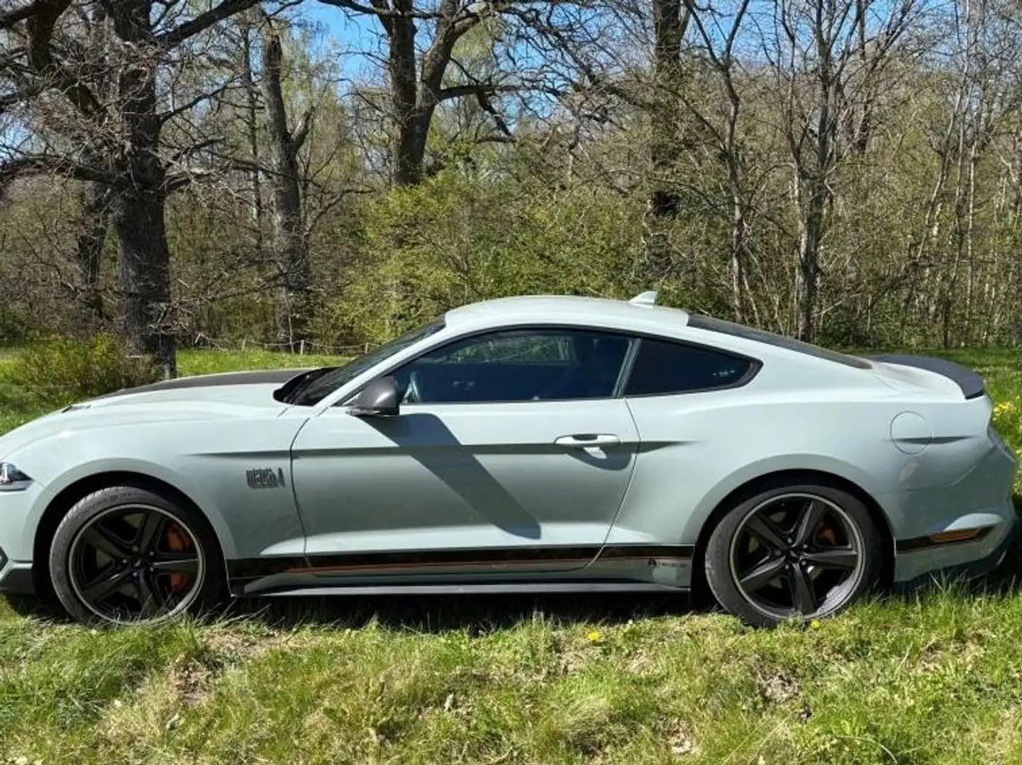 Ford Mustang Mustang Fastback 5.0 Ti-VCT V8 Aut. MACH1 Weiß - 2