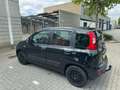 Fiat Panda Panda 1.2 Easy Zwart - thumbnail 4