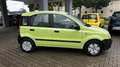 Fiat Panda 1.1 8V Active(TÜV 09,2027 NEUE) Grün - thumbnail 4
