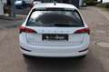 Skoda Scala Clever LED Navi PDC DAB SHZ Carplay Tempom Weiß - thumbnail 6
