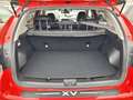 Subaru XV 1.6i Executive Plus CVT Rojo - thumbnail 19