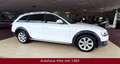 Audi A4 allroad quattro 2.0 TDI *TOP GEPFLEGT* Weiß - thumbnail 14