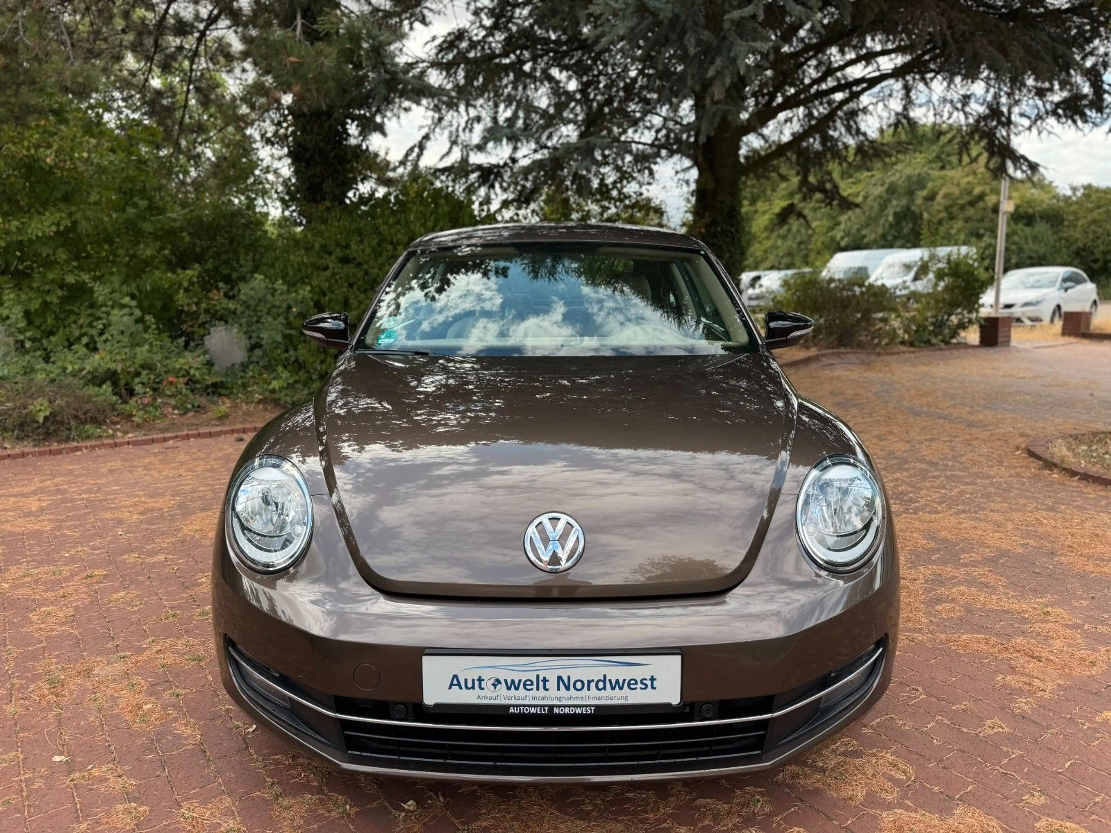Volkswagen Beetle Sport|TFL|Shzg|PDC|Touch|AUX/USB! — photo 11