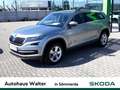 Skoda Kodiaq 1.4 TSI ACT Ambition 4x4 Grau - thumbnail 1