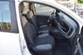 Fiat Panda N1 1.0 Hybrid Street Van Autocarro 4 posti 69CV Blanc - thumbnail 8