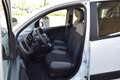 Fiat Panda N1 1.0 Hybrid Street Van Autocarro 4 posti 69CV Blanc - thumbnail 7
