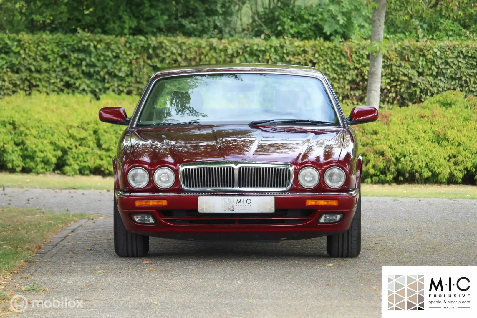 Jaguar Executive 3.2 3.2 Rood - 2