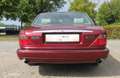 Jaguar Executive 3.2 3.2 Rood - thumbnail 16