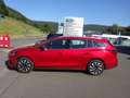 Ford Focus Titanium LED Navi Kamera ACC Automatik Red - thumbnail 4