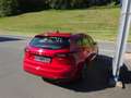 Ford Focus Titanium LED Navi Kamera ACC Automatik Red - thumbnail 6