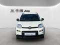 Fiat Panda 4x2 FireFly Hybrid 70 City Life Weiß - thumbnail 2