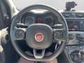Fiat Panda 4x2 FireFly Hybrid 70 City Life Weiß - thumbnail 11