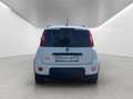 Fiat Panda 4x2 FireFly Hybrid 70 City Life Weiß - thumbnail 5