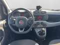 Fiat Panda 4x2 FireFly Hybrid 70 City Life Weiß - thumbnail 10