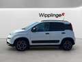 Fiat Panda 4x2 FireFly Hybrid 70 City Life Weiß - thumbnail 3