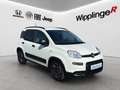 Fiat Panda 4x2 FireFly Hybrid 70 City Life Weiß - thumbnail 7
