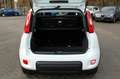 Fiat Panda 1.0 Hybrid, Klimaauto,SHZ,WSS-Heizung,PDC Weiß - thumbnail 8