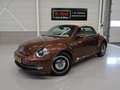 Volkswagen Beetle Cabriolet 1.2 TSI Exclusive Edition Leer Airco-ecc Brun - thumbnail 3