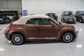 Volkswagen Beetle Cabriolet 1.2 TSI Exclusive Edition Leer Airco-ecc Brun - thumbnail 27