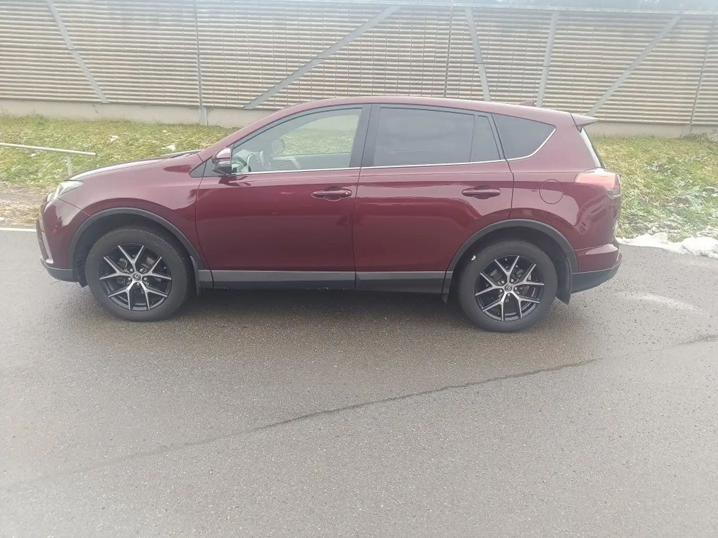 Toyota RAV 4 Rot - 2