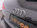 Audi SQ5 3.0 TDI quattro competition Aut XENON STANDHZ Grau - thumbnail 10