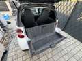 smart forTwo *Pickerl* *74.000km* - thumbnail 20