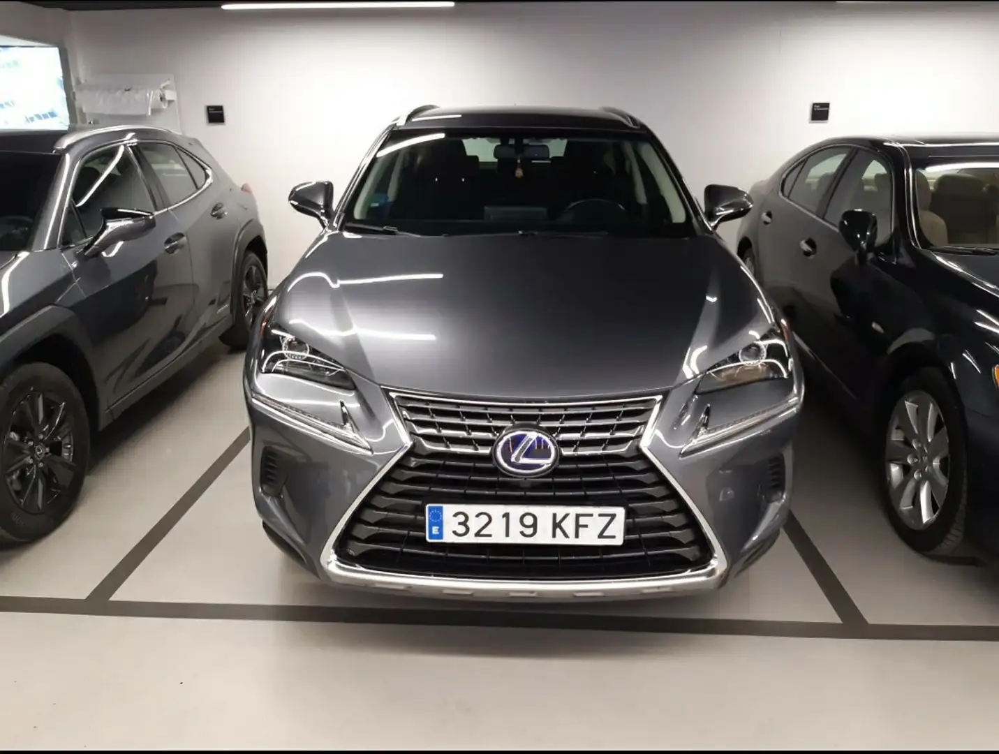 Lexus NX 300h Business Navigation 2WD - 2
