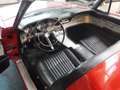 Ford Thunderbird V8 Roadster '62 Rood - thumbnail 21