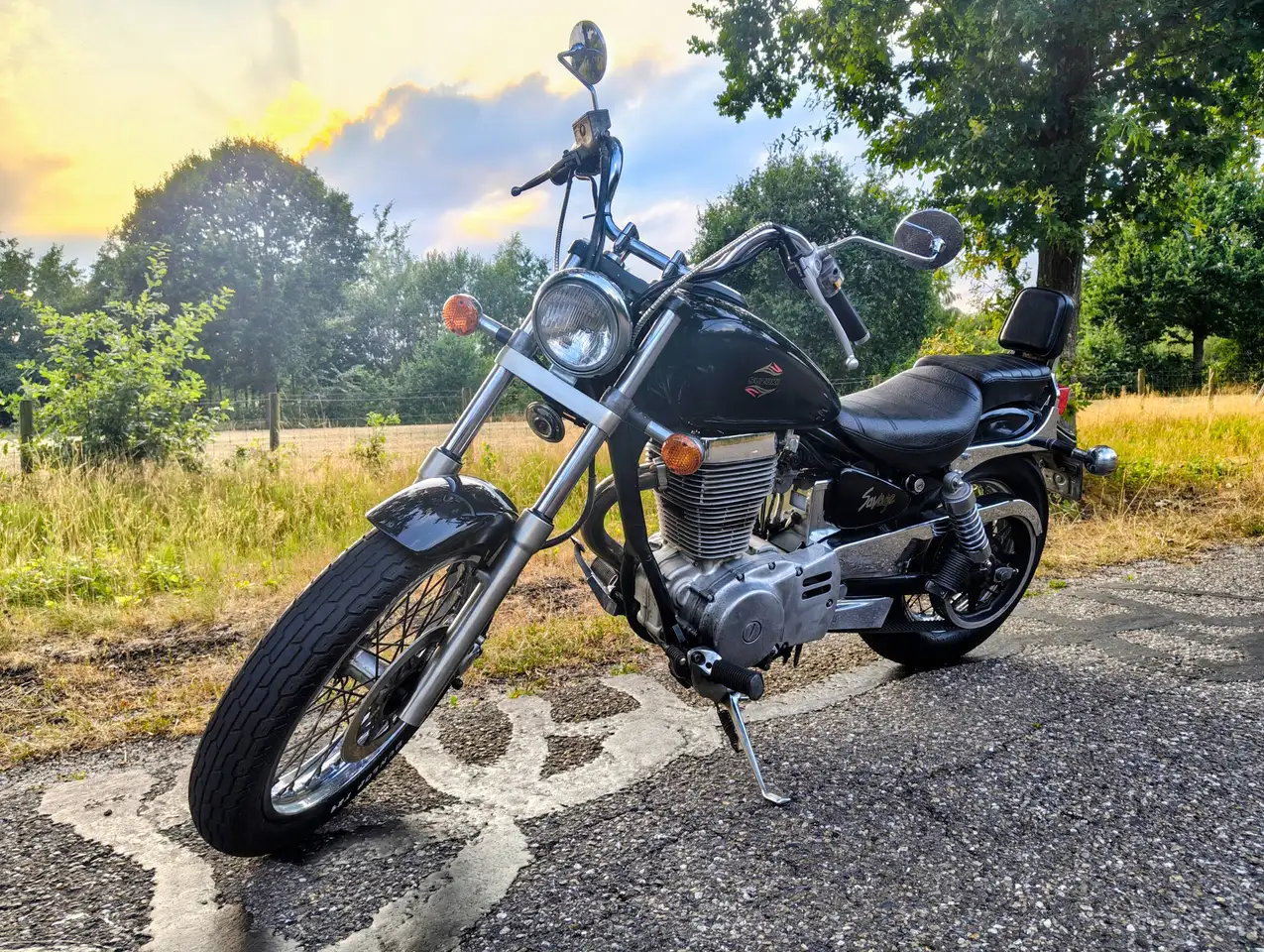 Suzuki LS 650