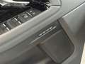 Land Rover Range Rover Evoque P300e AWD R-Dynamic SE | Panoramadak | Cold Climat Blanco - thumbnail 41