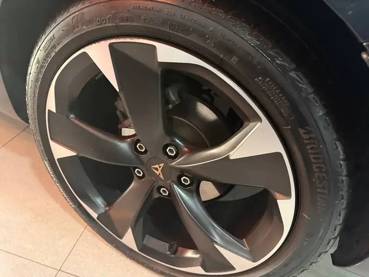 Cupra 2025, foto 8