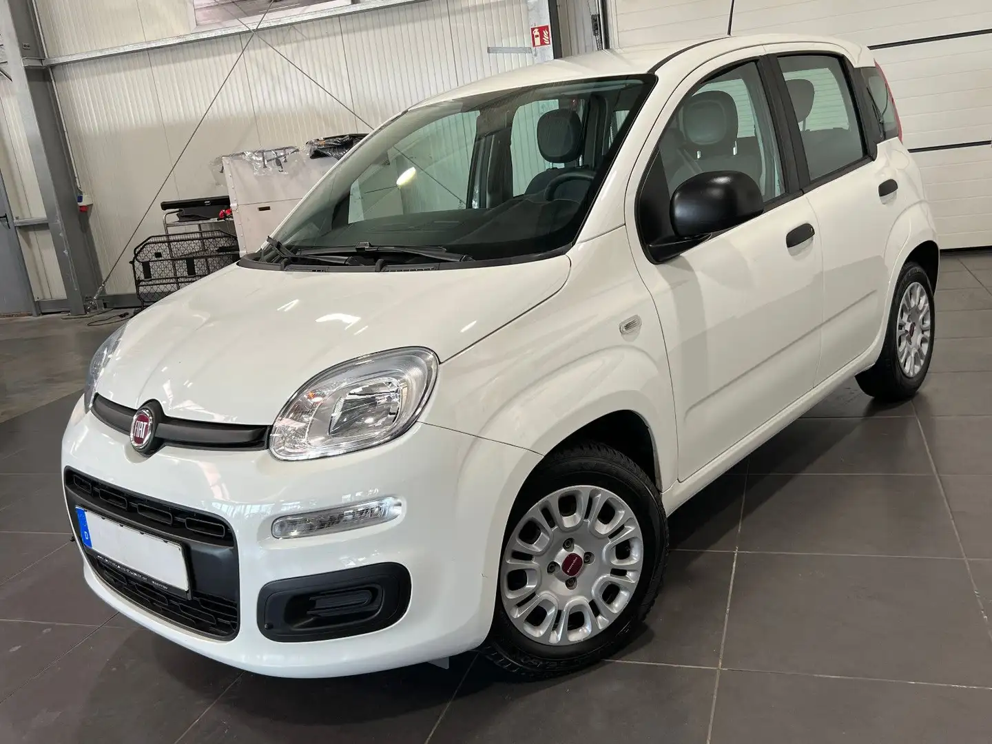 Fiat Panda 1.0 Urban **5-Türig*Klima*PDC** Weiß - 1