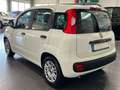 Fiat Panda 1.0 Urban **5-Türig*Klima*PDC** Weiß - thumbnail 3