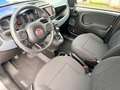 Fiat Panda Cross Grau - thumbnail 7
