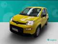 Fiat Panda 1.0 FireFly Hybrid Amarillo - thumbnail 5