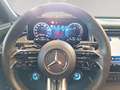Mercedes-Benz E 53 AMG Grau - thumbnail 14