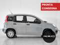 Fiat Panda Panda 1.2 Easy - thumbnail 3