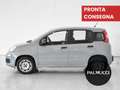 Fiat Panda Panda 1.2 Easy - thumbnail 4