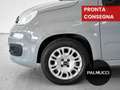 Fiat Panda Panda 1.2 Easy - thumbnail 6