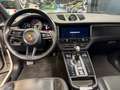 Porsche Macan 2.9 GTS pdk TETTO PANORAMA BOSE SCARICHI CHRONO Zilver - thumbnail 14
