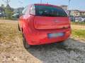Fiat Punto 3p 1.2 Young c/navi,radio - thumbnail 2