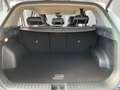 Kia Sportage Spirit 1.6 T-GDI Hybrid Auto 4WD . 158 kW. 5-türig Weiß - thumbnail 10