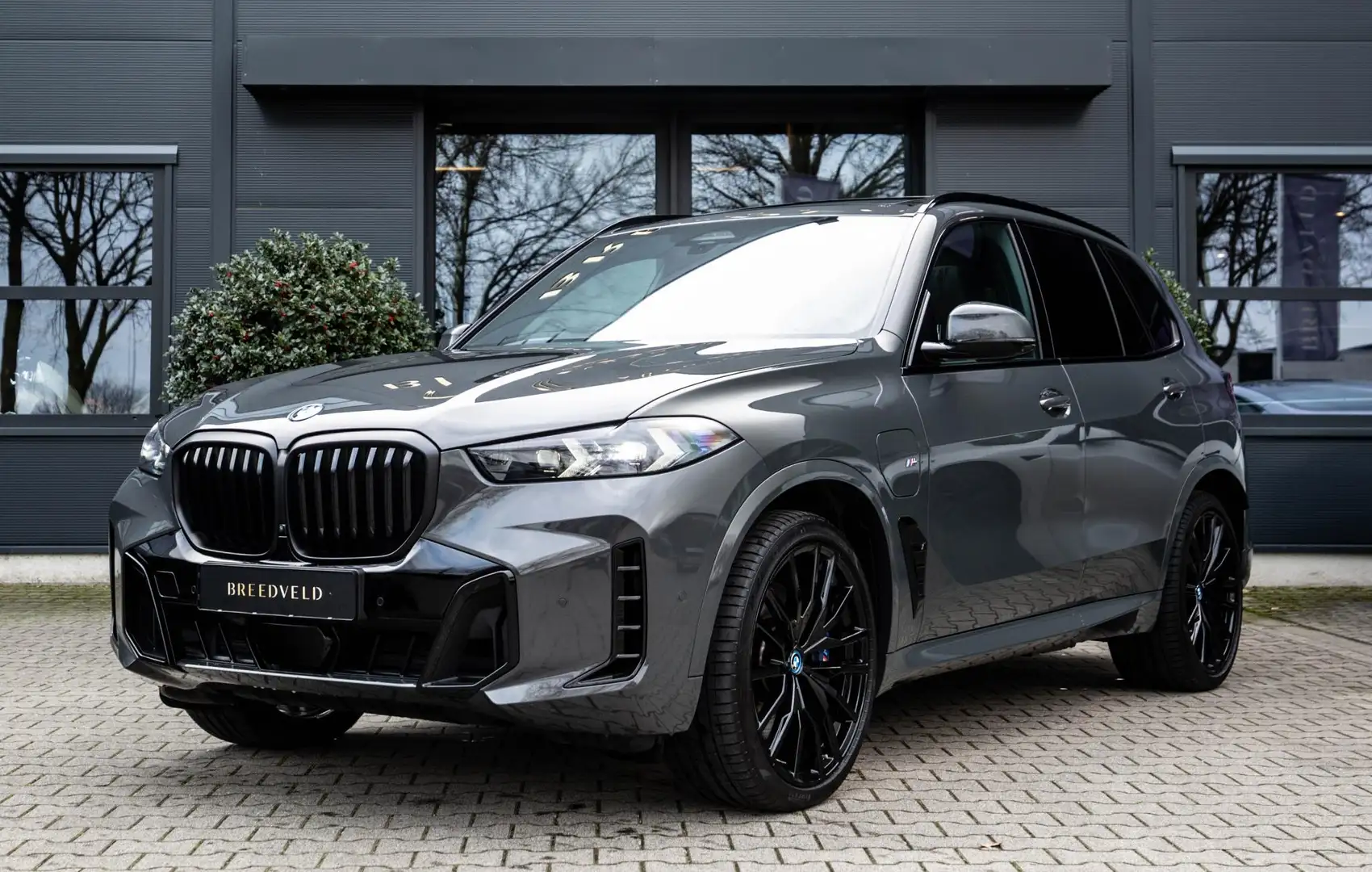 BMW X5 xDrive50e Launch Edition Grau - 1