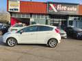 Ford Fiesta 5p 1.4 tdci Ikon Business 70cv Bianco - thumbnail 6