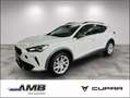 CUPRA Formentor 2.0 TDI 4Dr. DSG/AHK/Nav/Standhzg/360° Weiß - thumbnail 1