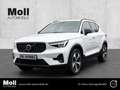 Volvo XC40 Plus Dark 2WD B4 EU6d digitales Cockpit Memory Sit Weiß - thumbnail 1