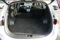 Hyundai SANTA FE SANTA FE 2.2 CRDi 4WD Prime*AHK 2.5T*ASSISTENZ* Weiß - thumbnail 13