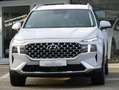 Hyundai SANTA FE SANTA FE 2.2 CRDi 4WD Prime*AHK 2.5T*ASSISTENZ* Weiß - thumbnail 2