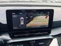 CUPRA Formentor 2.0 TDI 4Drive DSG 150 cv #telecamera #nazionale Nero - thumbnail 10